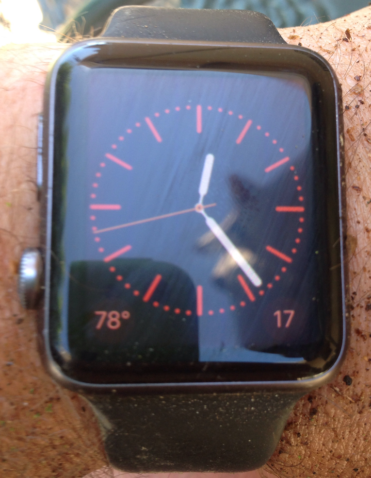 Rob's Apple Watch - Color Watch Face